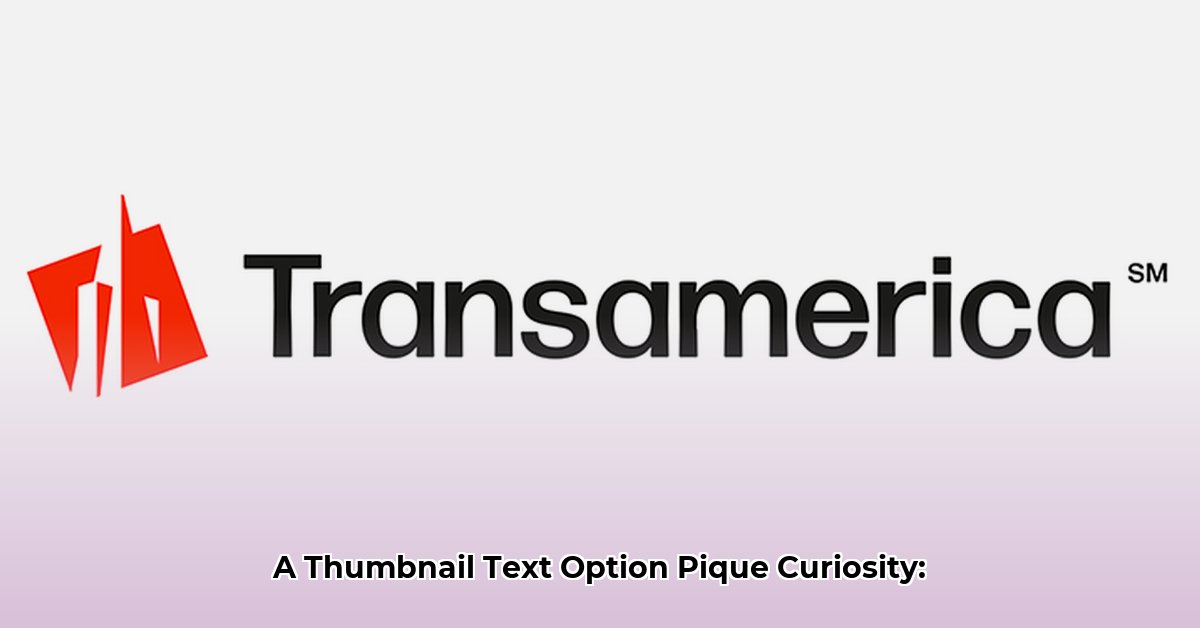 transamerica-net-worth